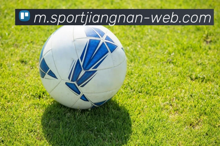 江南体育平台生态图